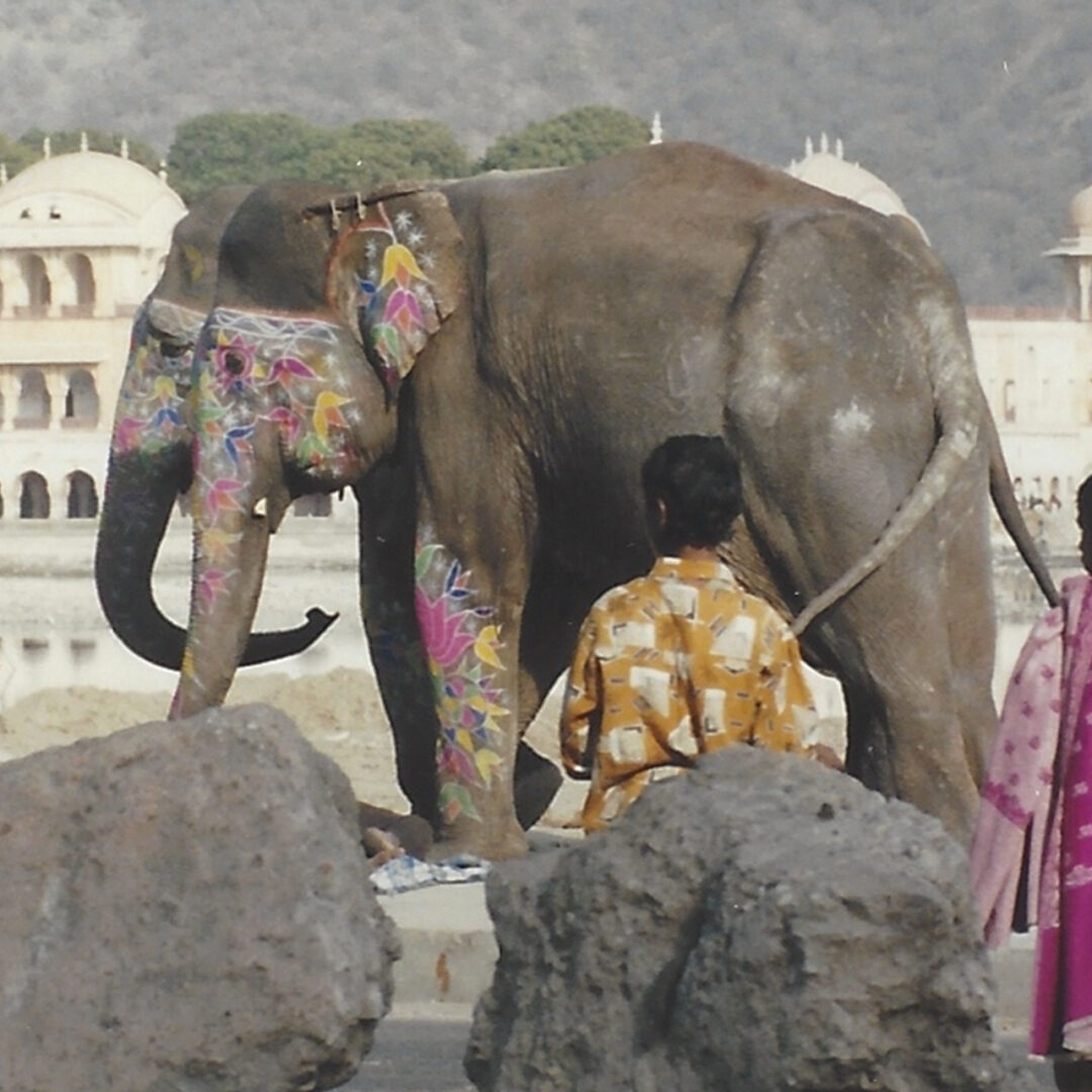 Decorated elephant with people in traditional attire near rocks.