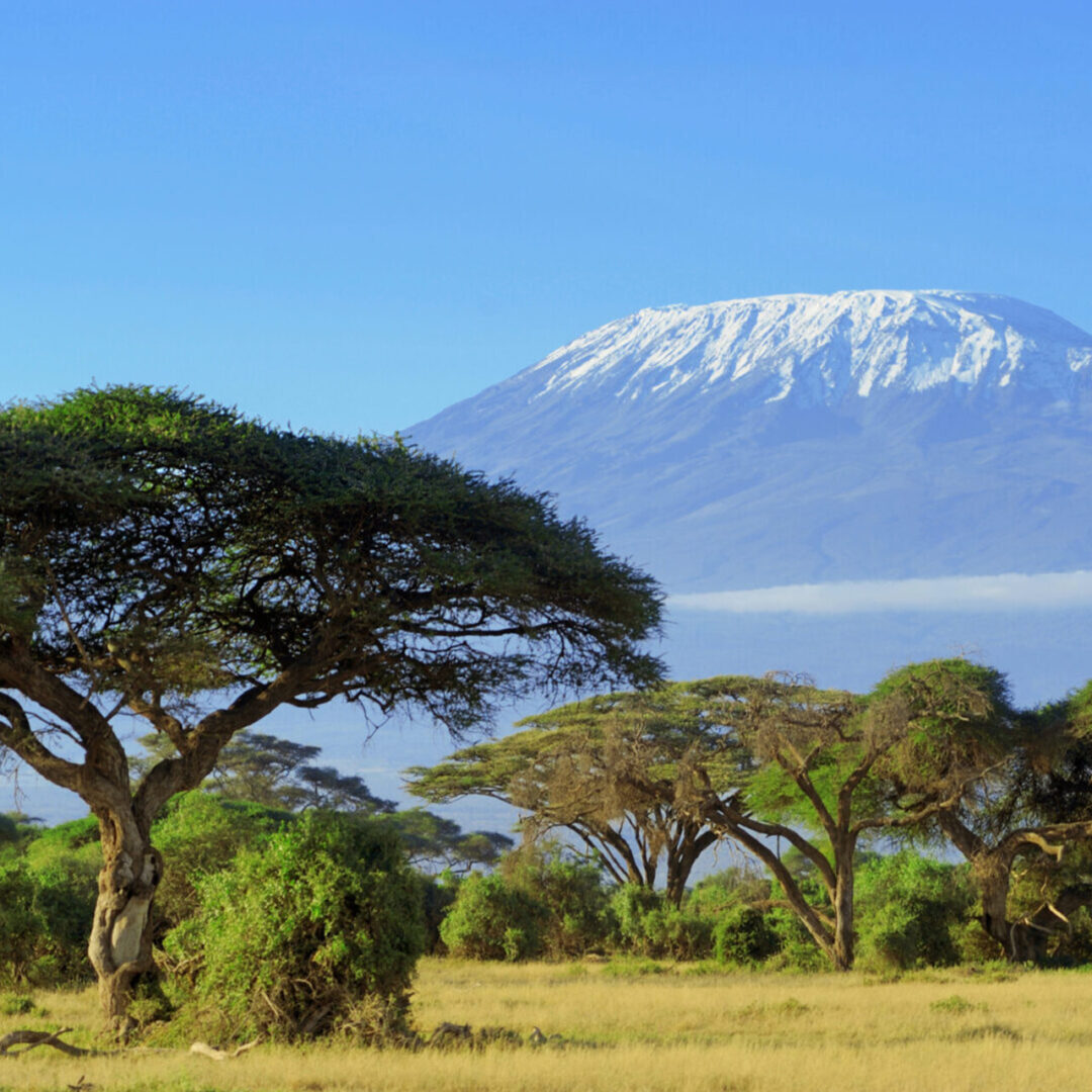 Kilimanjaro_181967831-scaled